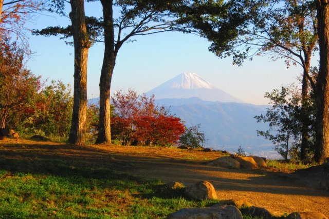 武田の杜