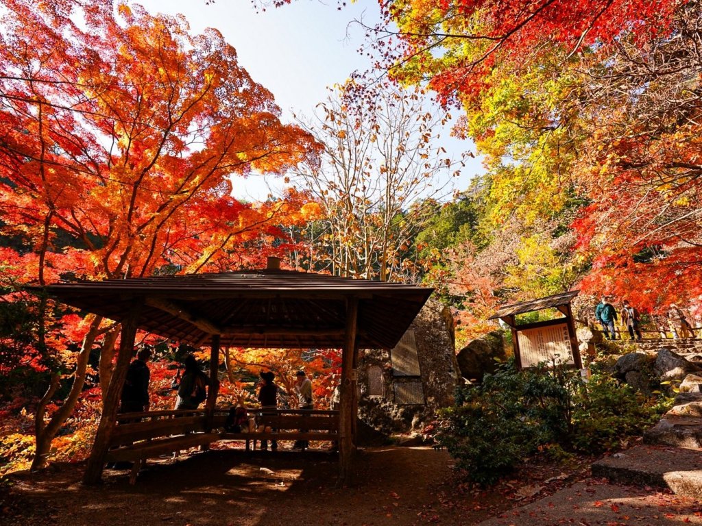 2025.昇仙峡紅葉情報