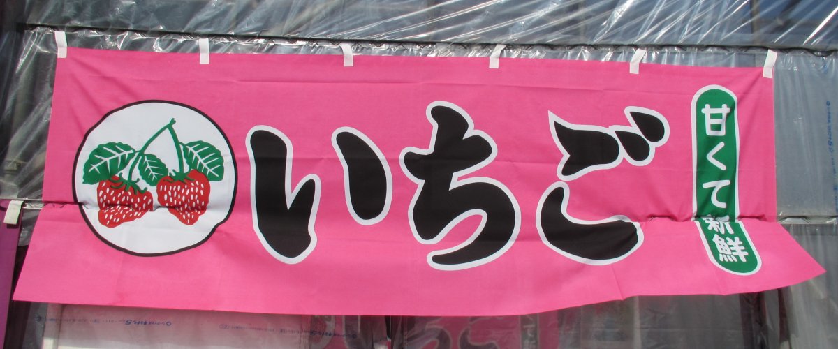 甘くて美味しい いちご狩り 甲府 旅の特集 甲府観光ナビ 甲府市観光協会公式サイト