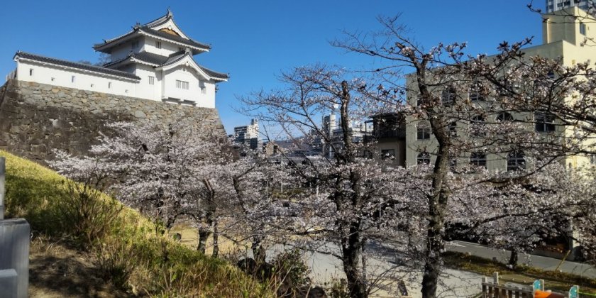 舞鶴城公園・稲荷櫓前（2026.3.24現在）