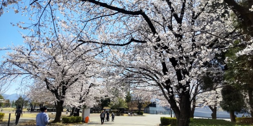 小瀬スポーツ公園（2026.3.24現在）