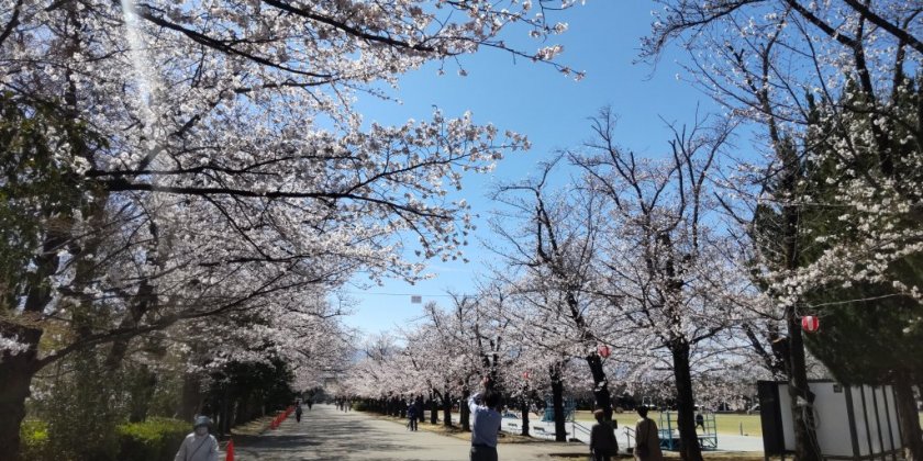 小瀬スポーツ公園（2026.3.24現在）