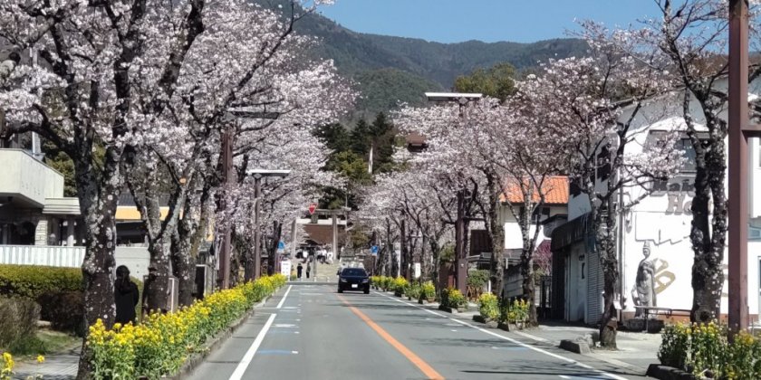 武田通り（2026.3.24現在）