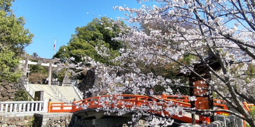 武田神社（2026.3.24現在）