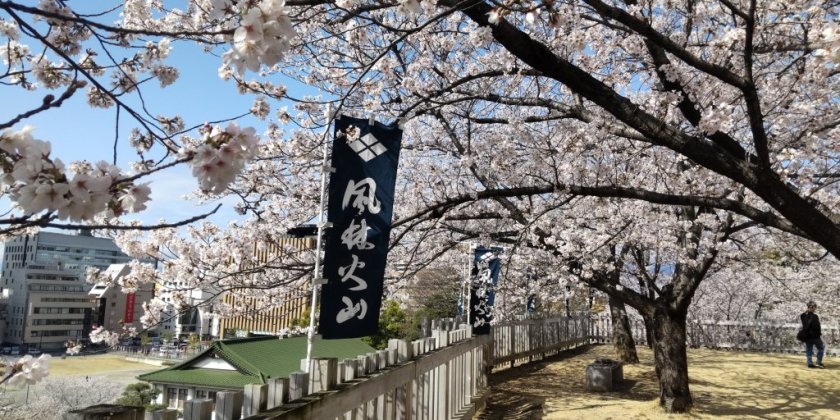 舞鶴城公園（2026.3.27現在）